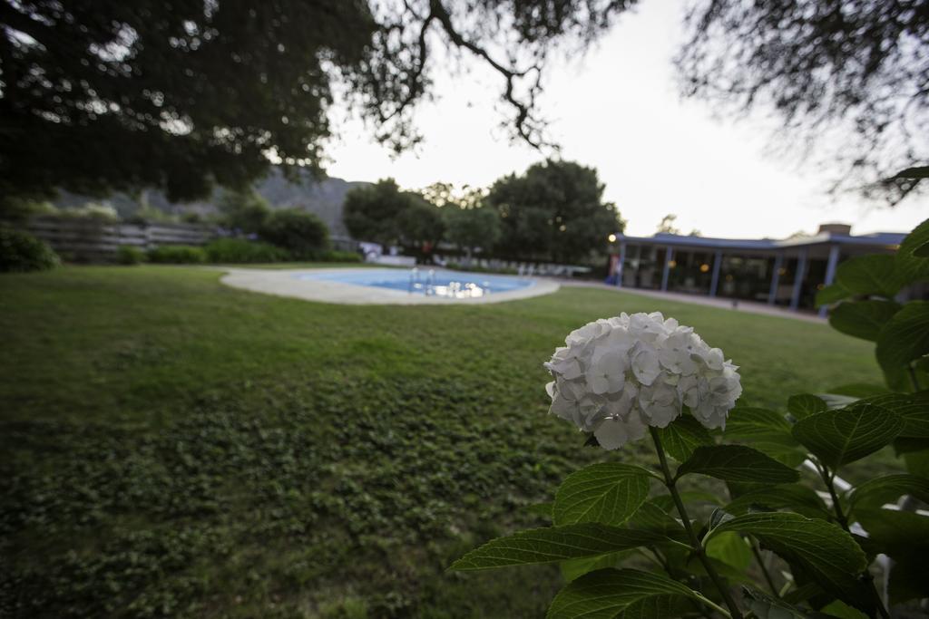 The Blue Sky Lodge Carmel Valley Esterno foto