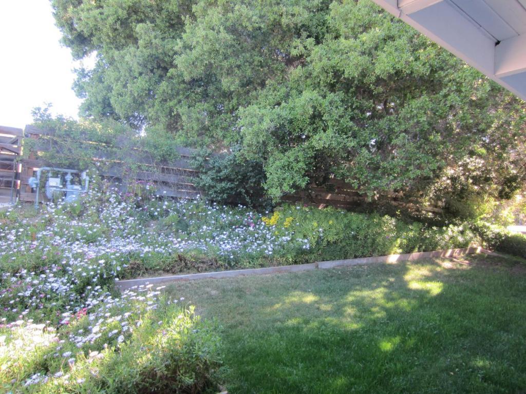 The Blue Sky Lodge Carmel Valley Esterno foto