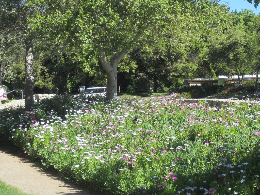 The Blue Sky Lodge Carmel Valley Esterno foto